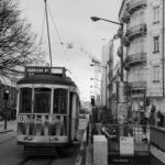 dsc00222.jpg